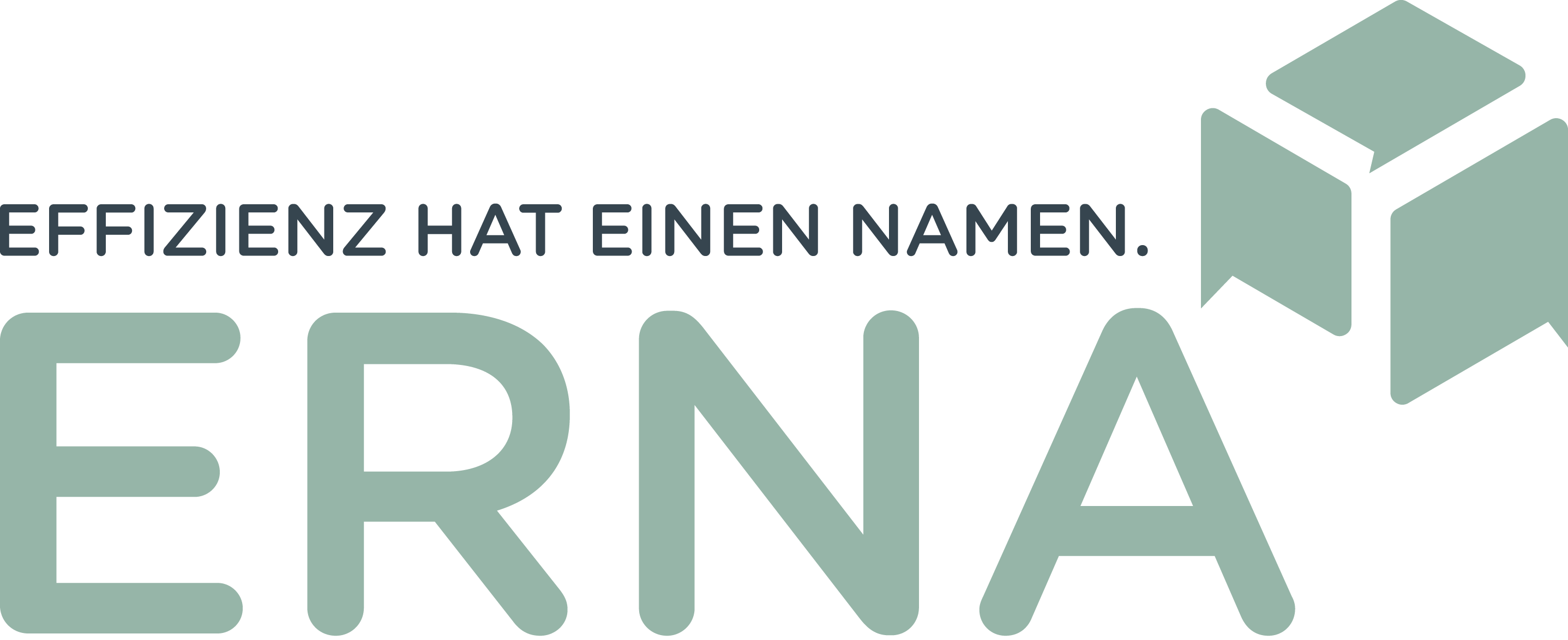 erna-logo